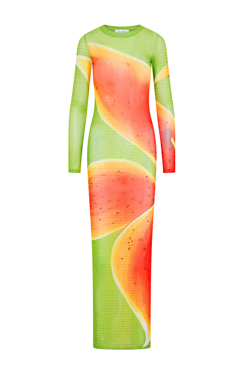 TIGER LILY MESH DRESS - GREEN MULTI Elicit TIGER LILY MESH DRESS - GREEN MULTI Elicit